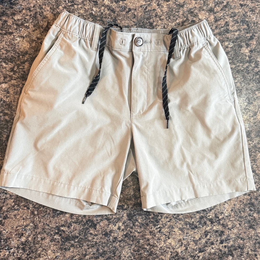 Chubbies Men’s Everywhere 6” Performance Shorts - Light Gray
